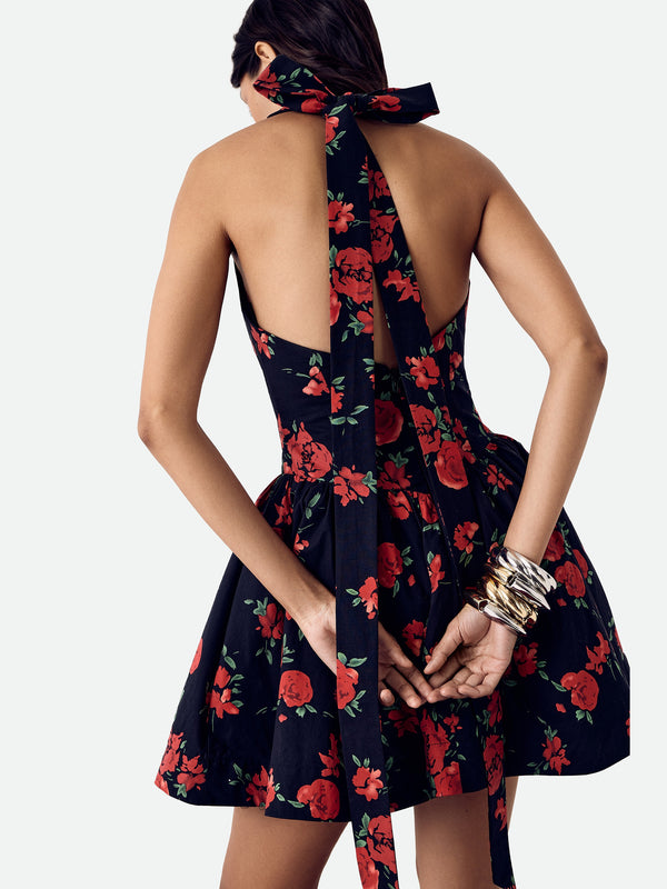 Dolce Vita Rose Dress