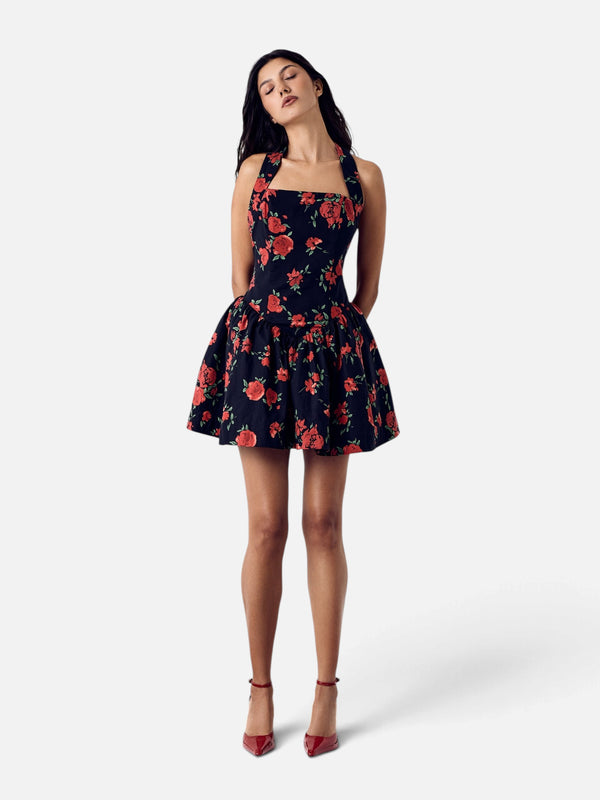 Dolce Vita Rose Dress