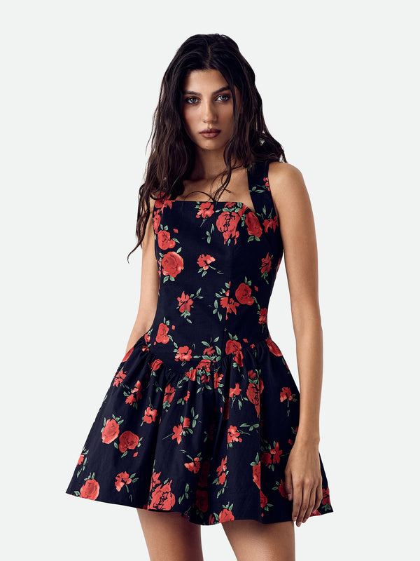 Dolce Vita Rose Dress