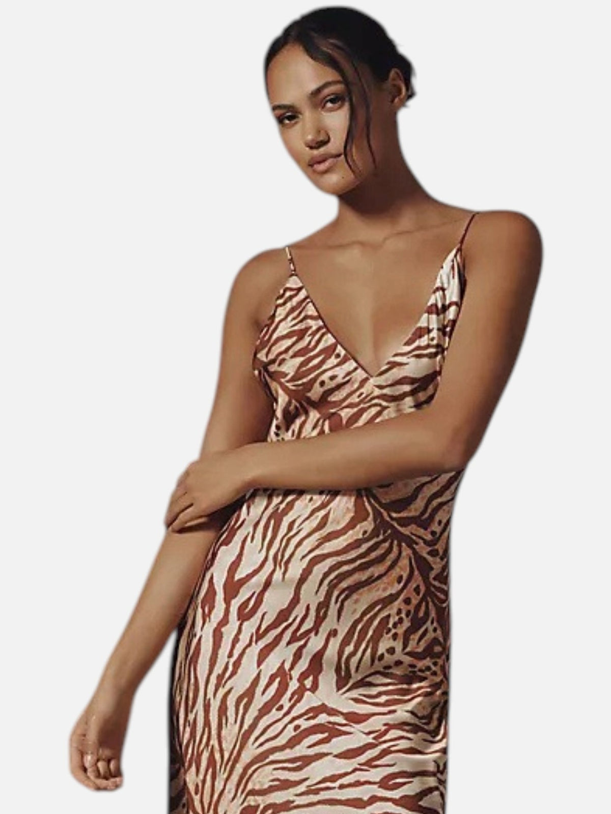 Rowan Dress Tiger Print