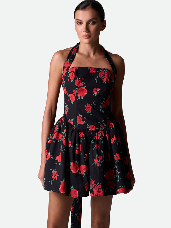 Dolce Vita Rose Dress
