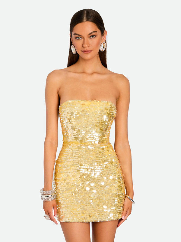 Nolia Sequin Dress
