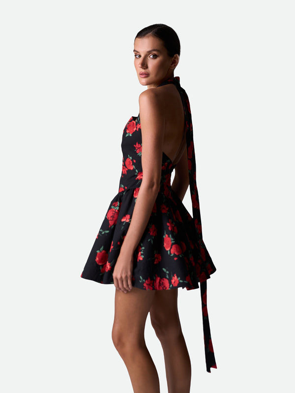 Dolce Vita Rose Dress