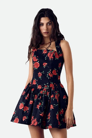 Dolce Vita Rose Dress