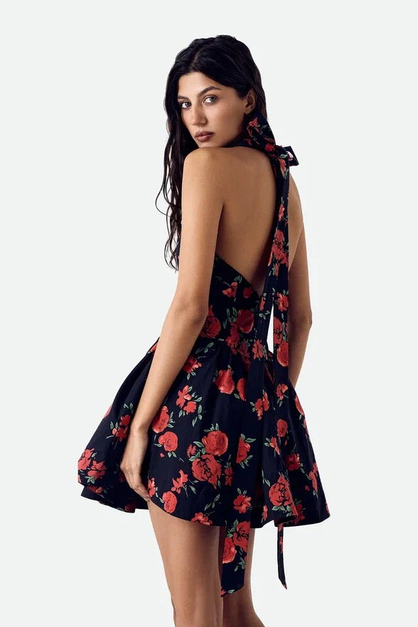 Dolce Vita Rose Dress