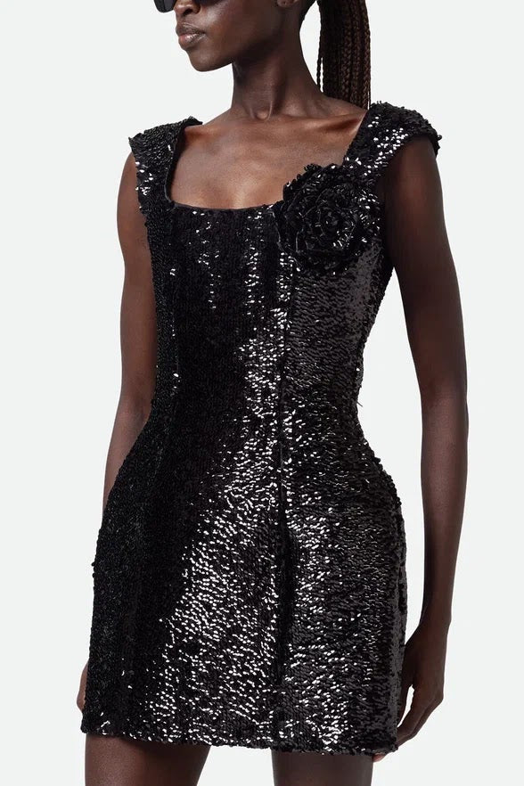 Dress Black 495F